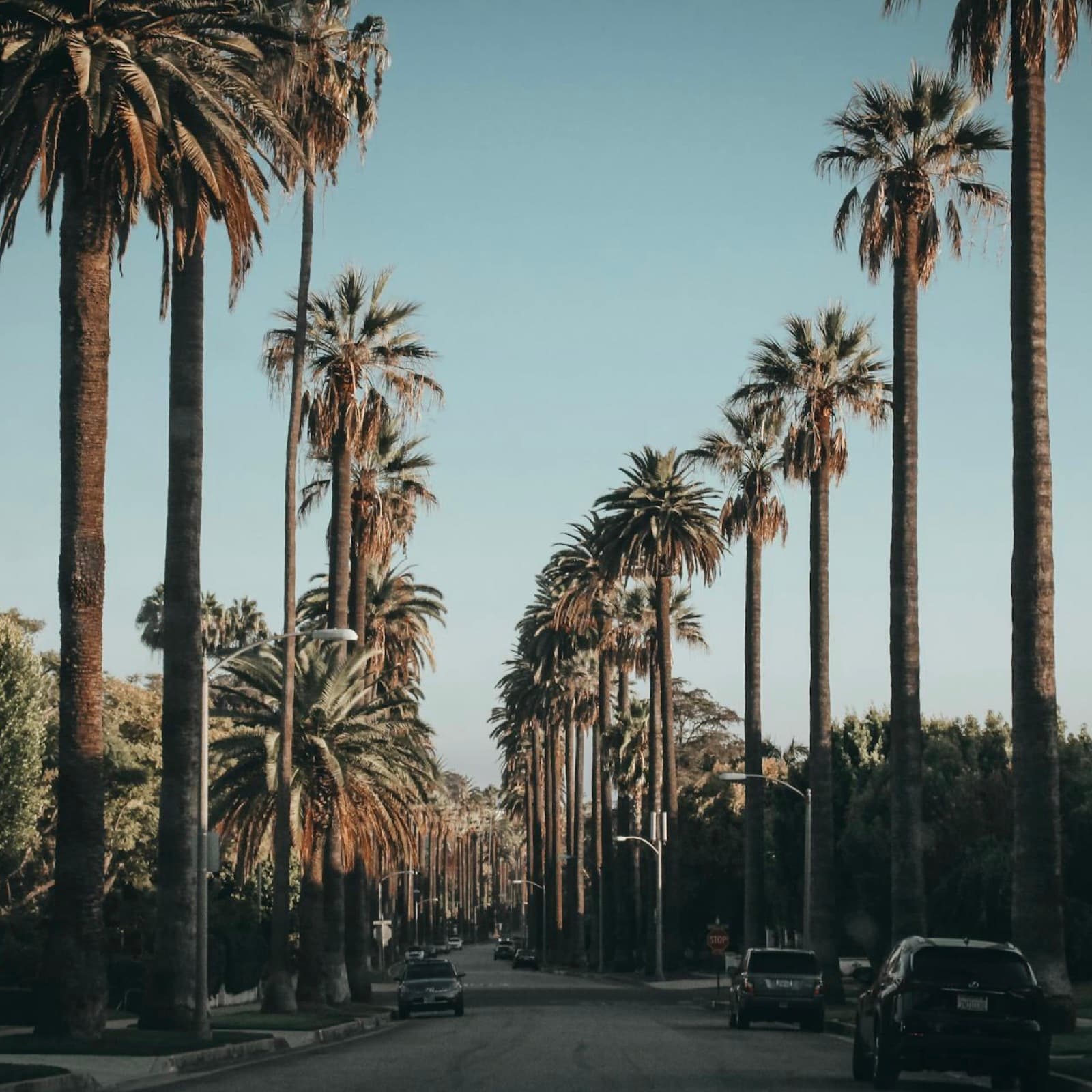 The food scene in Los Angeles