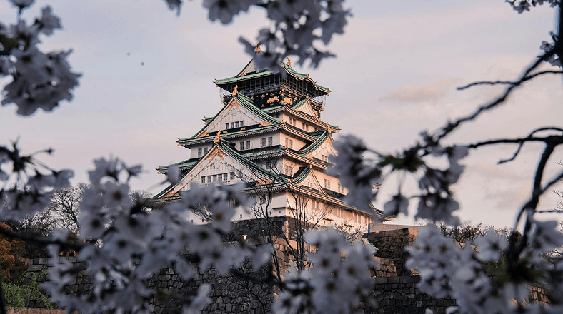 The food scene in Osaka, Japan
